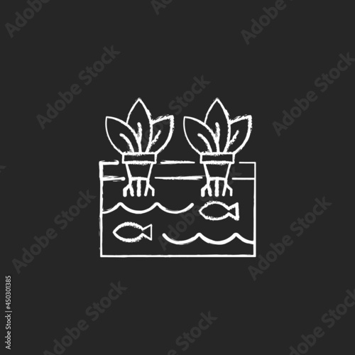 Aquaponics chalk white icon on dark background. Aquaculture plus hydroponics. Innovative ecosystem. Greenhouse plantation. Fish and plant. Isolated vector chalkboard illustration on black