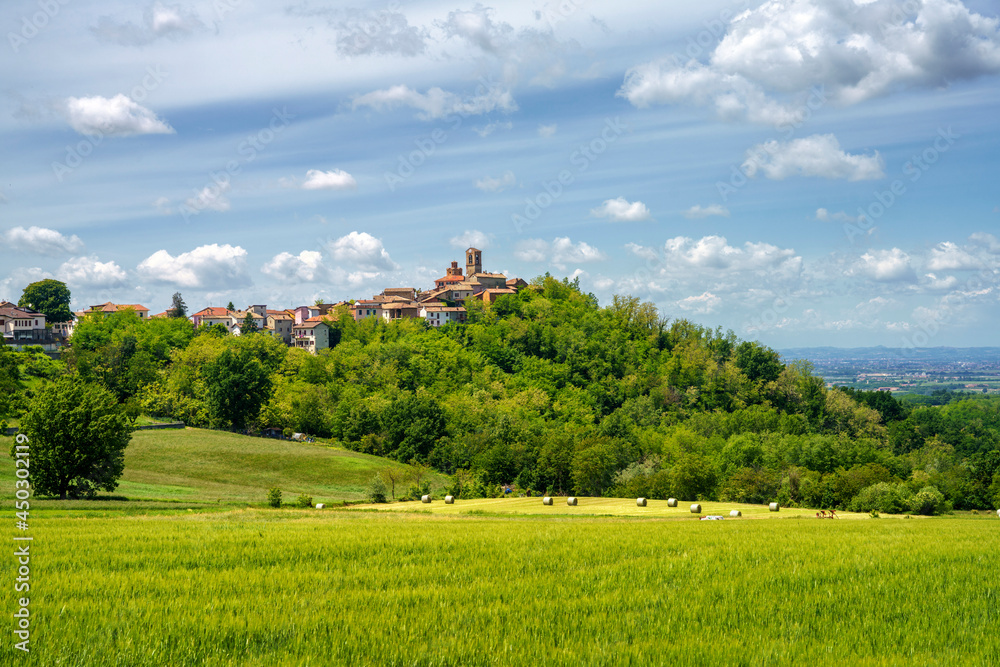 Landscape on the Tortona hills at springtime.