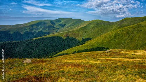 Fototapeta Naklejka Na Ścianę i Meble -  The Carpathian Mountsins. Ukraine.