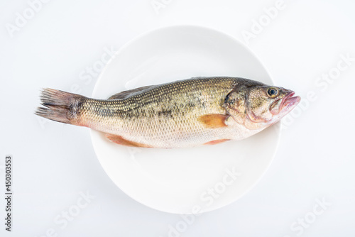 A perch on white background