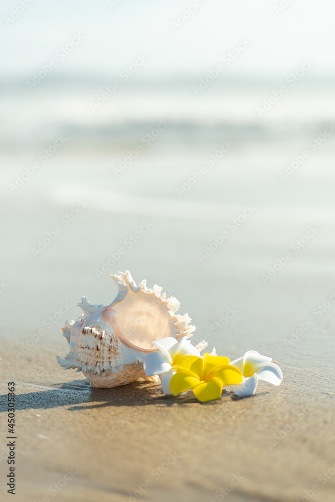 砂浜とプルメリア 砂浜とプルメリア