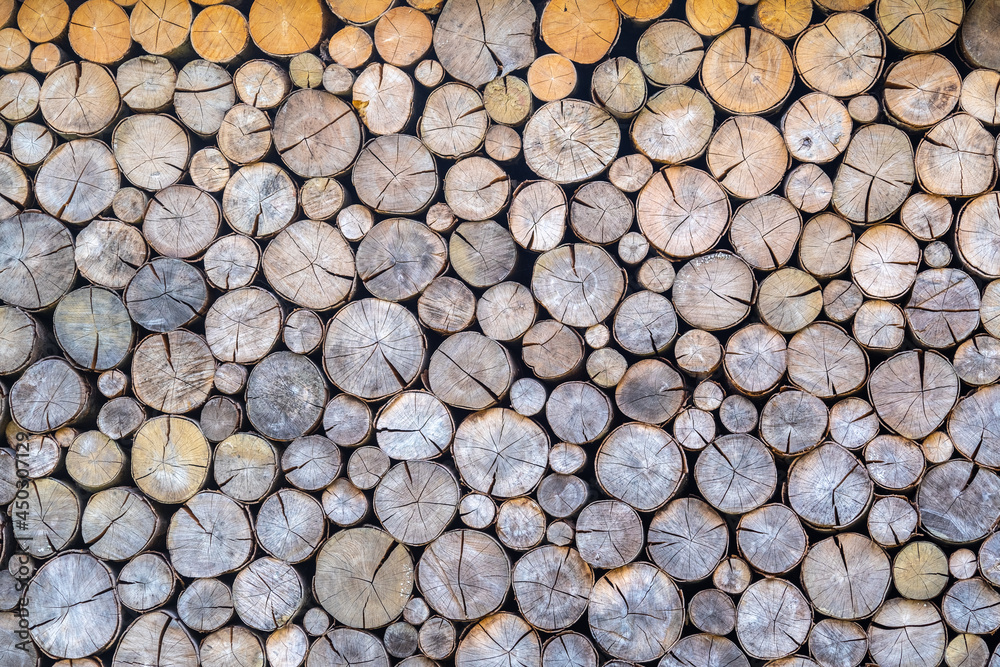 Background from wooden round logs. stacked firewood Background from wooden round logs. stacked firewood