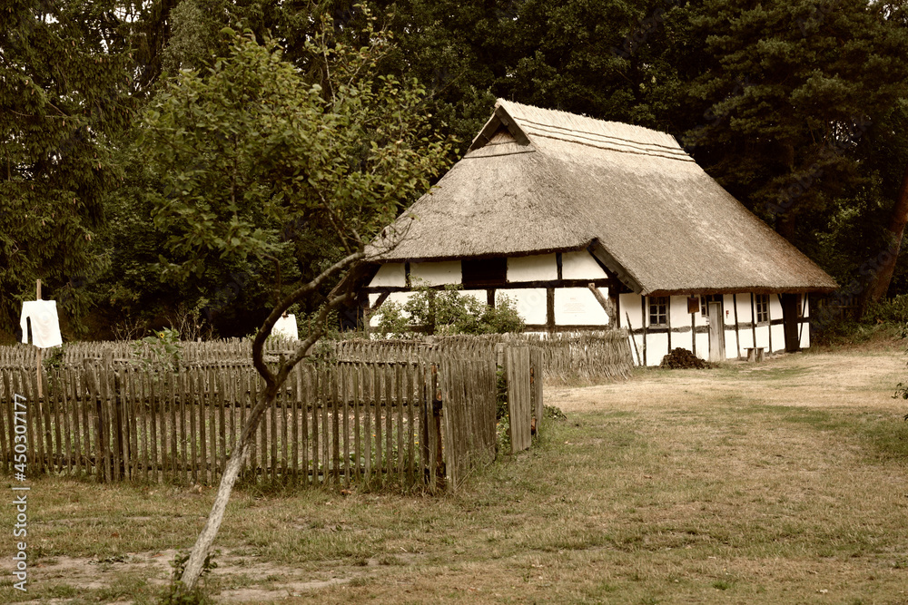 Stara wiejska chata na terenie wiejskim z płotem, przy alejce. - obrazy, fototapety, plakaty 