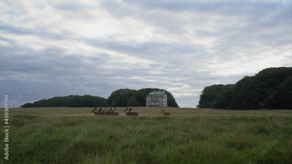 Deer walking in front of hunting estate mansion