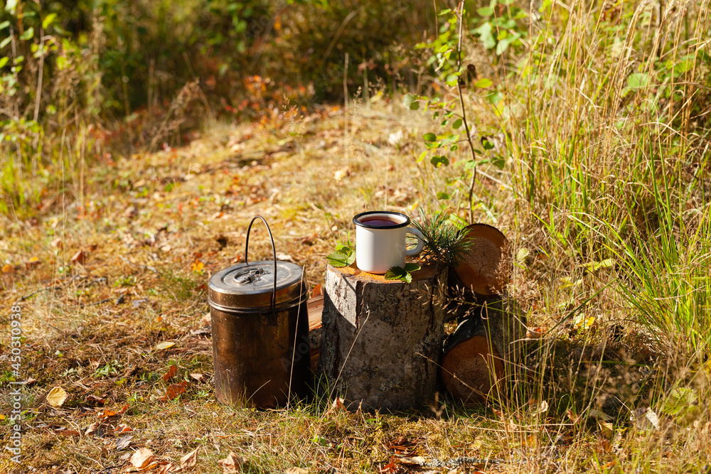 White campfire enamel mug with hot herbal tea on wooden stump. Bowler pot on background, cones, forest elements as decor. Concept of lunch break during hiking, trekking, active tourism, camping