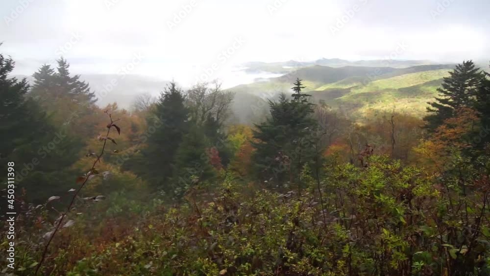 autumn season in blue ridge parkway mountains