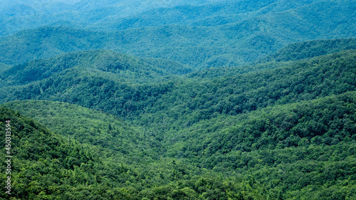 Wooded foothills of the American Southeast in North Carolina, USA.