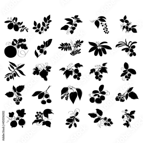 Set of abstract fruit and berry plants on a white background