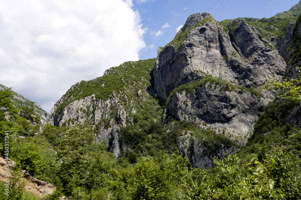Beauties of overgrown rocky mountains. Montenegro