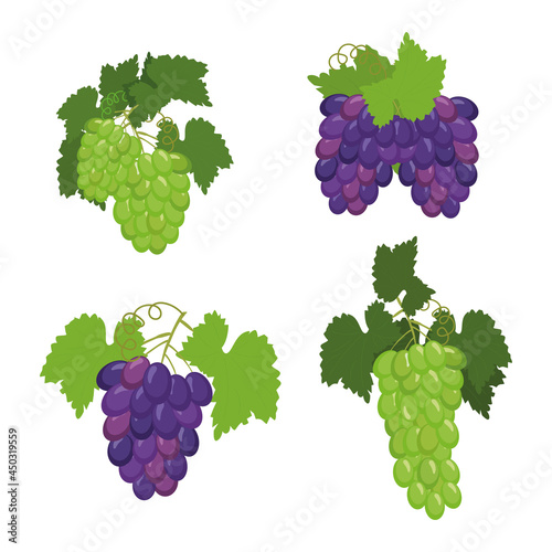 set of green and blue grapes, illustration isolated on a white background