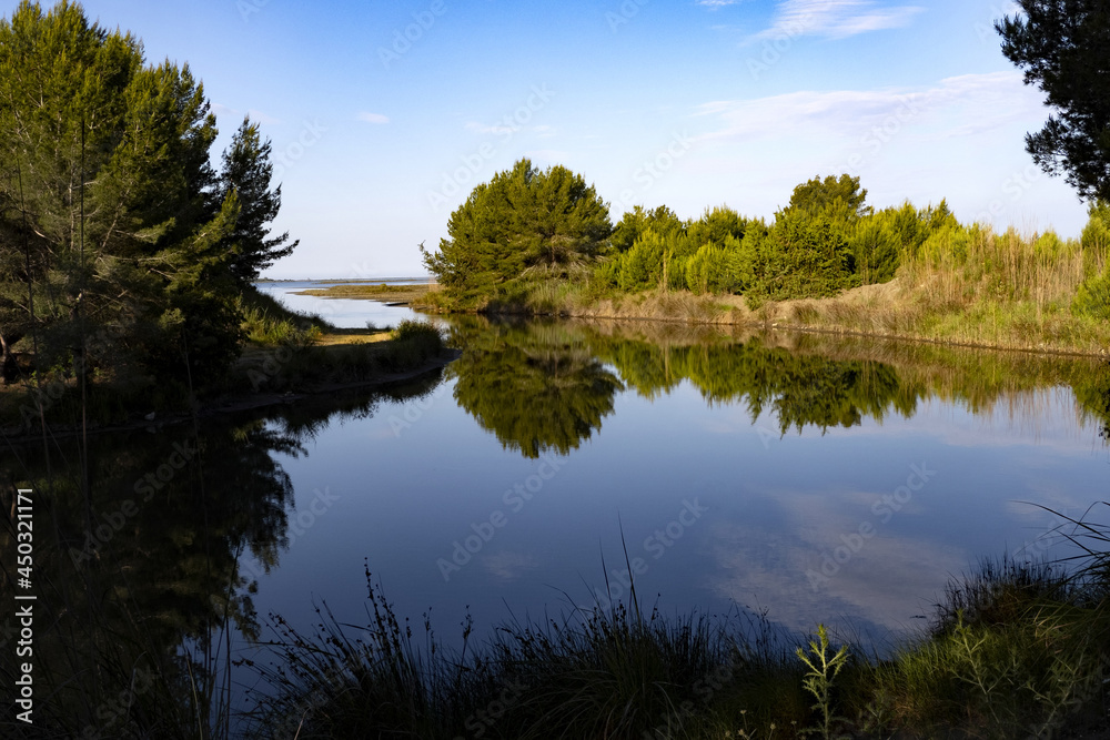 Graceful bays with overgrown-made causes. Divjaka-Caravasta National Park Albania.