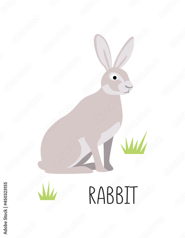 Fototapeta premium Vector flat illustration of wild forest animal, rabbit. Illustration isolated on white background.