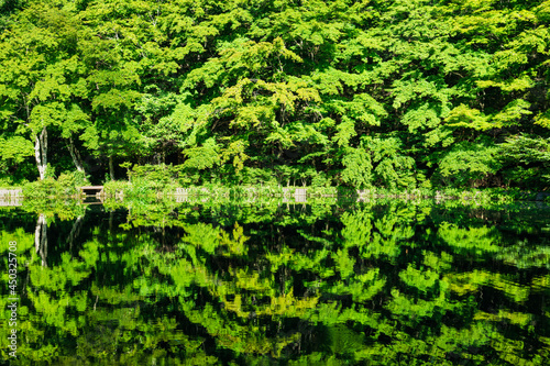夏の湖畔の風景 軽井沢