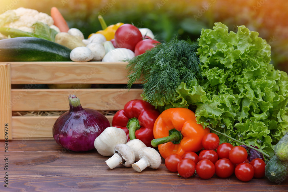 Fresh organic vegetables in a wooden box and on a wooden table on the background of a vegetable garden.Concept of biological, bio products, bio ecology, gardening, healthy food, vegetarianism. Fresh organic vegetables in a wooden box and on a wooden table on the background of a vegetable garden.Concept of biological, bio products, bio ecology, gardening, healthy food, vegetarianism.