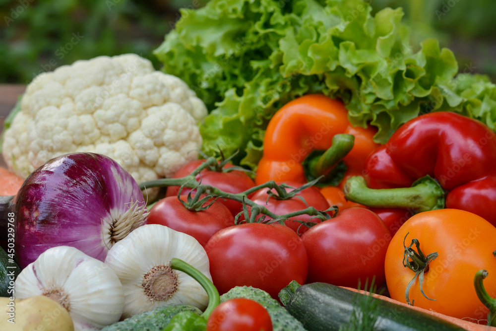 Beautiful fresh organic vegetables . The concept of gardening, healthy eating, vegetarianism. Beautiful fresh organic vegetables . The concept of gardening, healthy eating, vegetarianism.