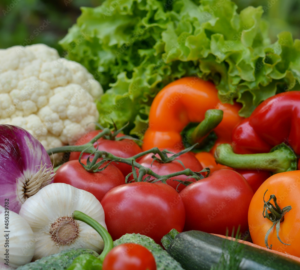 Beautiful fresh organic vegetables . The concept of gardening, healthy eating, vegetarianism. Beautiful fresh organic vegetables . The concept of gardening, healthy eating, vegetarianism.