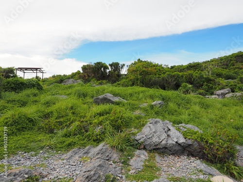 landscape view of green meadow and tree forest with white cloud blue sky on limestone cliff at Chong Isariyaporn  Khow Khad  on Sri chang island