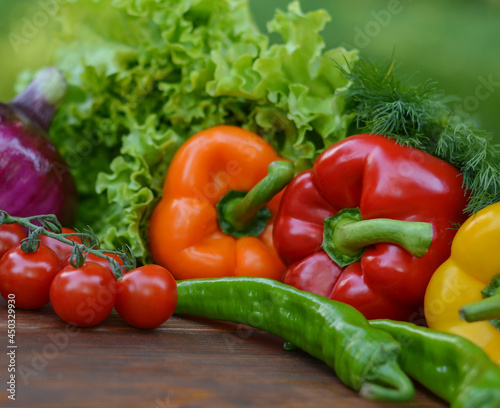 Beautiful fresh organic vegetables on the background of a blurred green vegetable garden. The concept of gardening  healthy eating  vegetarianism. Copy space for text