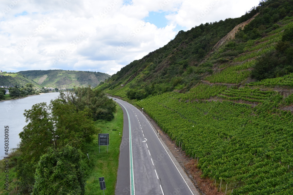 Uferstraße an den Weinbergen bei Niederfell Uferstraße an den Weinbergen bei Niederfell