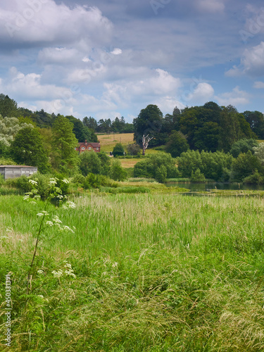 An uncultivated field, filled with verdant growth, before a lake and a house in hillside woodland, all under a summery blue sky. photo