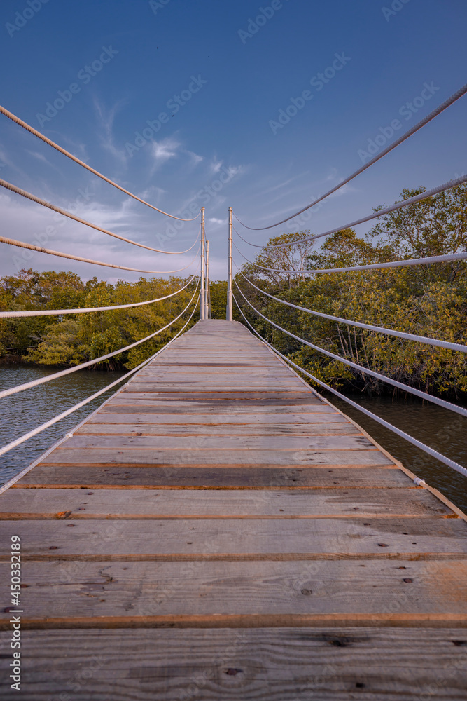 Obraz premium suspension bridge over the river