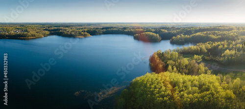 Aerial drone photo of green tree crones growing in lake shore. Nature landscape. Top view of a forest lake. Travel concept.