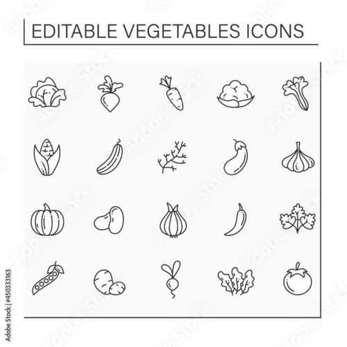 Vegetables line icons set. Edible plant. Vegetarian, healthy nutrition. health benefits. Agriculture concept. Isolated vector illustration. Editable stroke