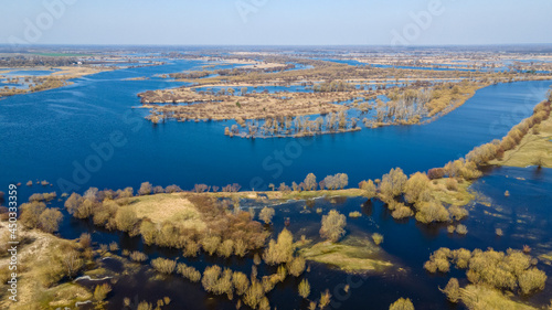 Aerial drone photo of green tree crones growing in lake shore. Nature landscape. Top view of a forest lake. Travel concept.