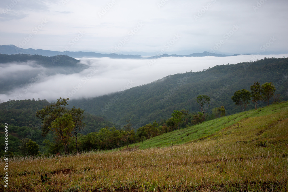 The misty mountain range in the morning is very beautiful. Gives a cool and refreshing feeling hill tribe cultivation area Background image and space for text