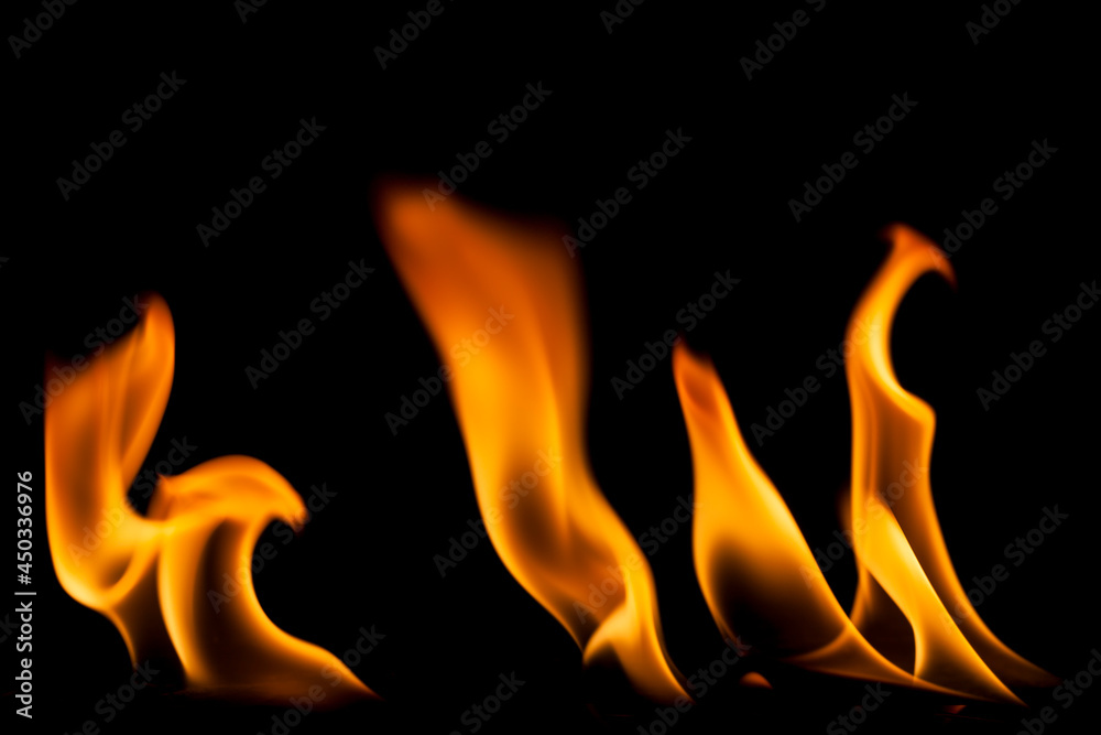Fire flames on black background. Fire flames on black background.
