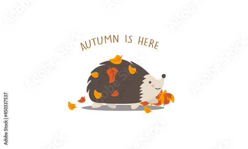The cute hedgehog gathered fallen leaves on his back. Autumn is here. 