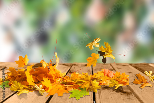 Colored autumn leaves on wooden planks
