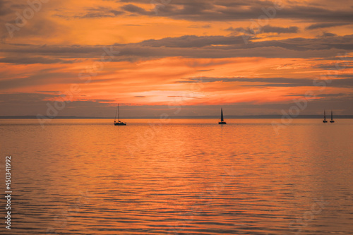 Small sailboats stretched along the horizon in the light of the setting sun.