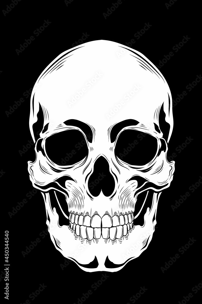 Fototapeta premium Human skull vector illustration