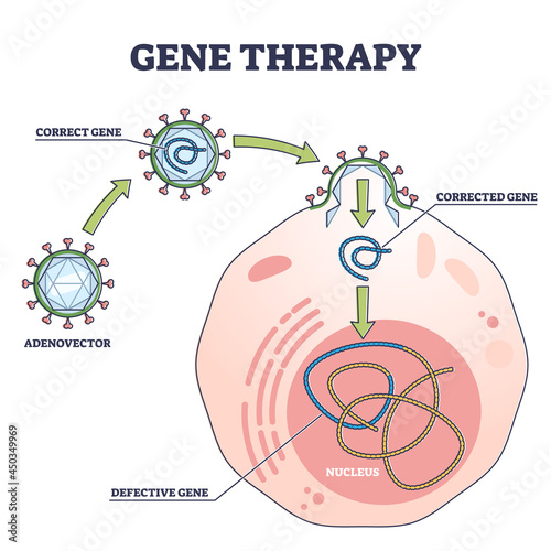 Gene therapy medical treatment and correct genome replacement outline diagram. Educational labeled experimental and modern disease treatment scheme with corrected defective gene vector illustration.