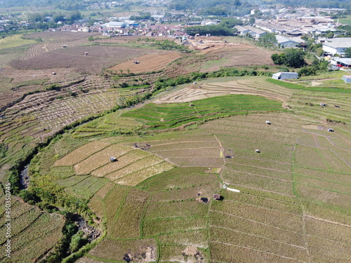 aerial panorama of after harvest agrarian rice fields landscape in the village of kendal , Central Java, like a terraced rice fields ubud Bali Indonesia photo