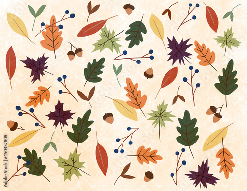 Fotografie autumn leaves illustration background