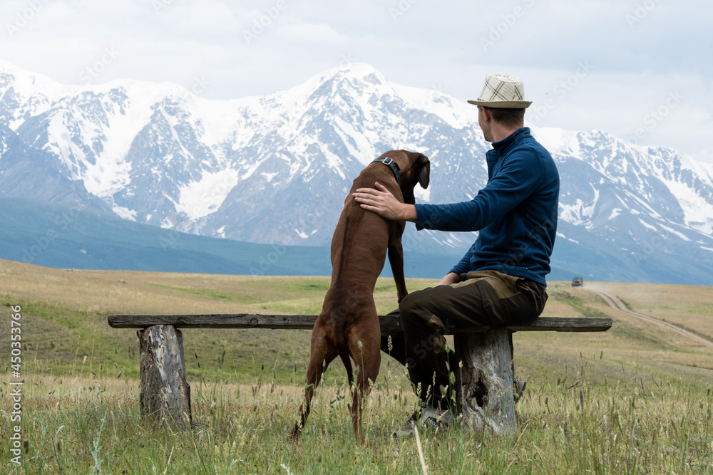 A guy with a dog sits on a bench and admires the mountain scenery. Traveling with a dog. Rhodesian Ridgeback travels with its owner