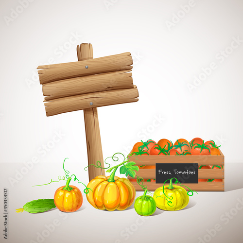 wooden signboard with ripe vegetables, autumn harvest isolated on white background. fall crop like pumpkins, cucumber, tomatoes in crate. organic food, grocery or farmers market products illustration.