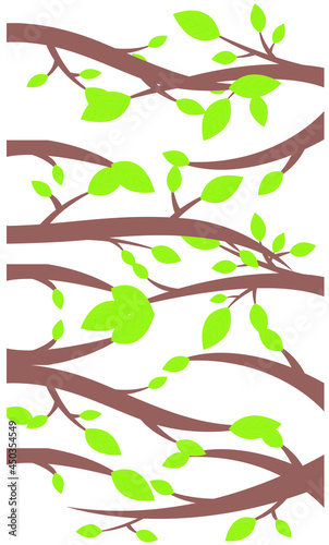 tree branches illustration background