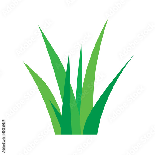 clump of green grass - vector illustration