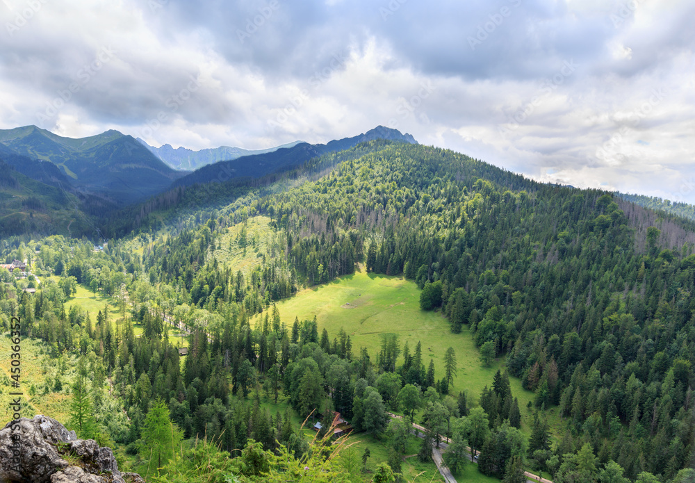 Mountain landscape in summer. View from hill Nosal in Tatra Mountains, Poland