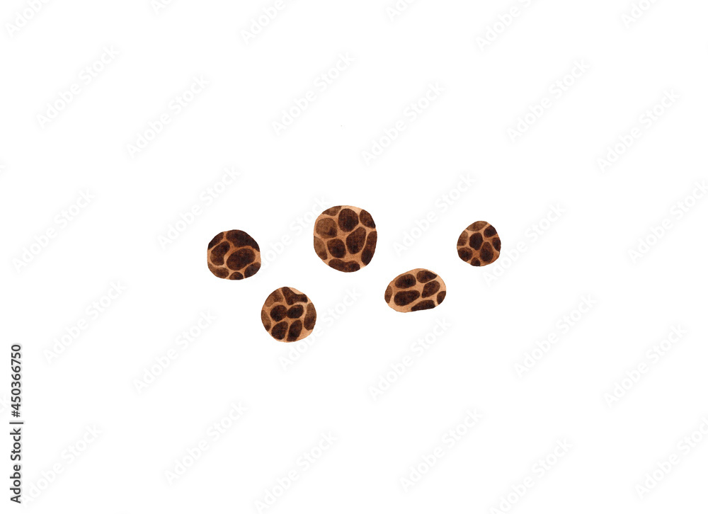 Watercolor set with black pepper illustration. Hand drawn spice isolated on white background. Watercolor set with black pepper illustration. Hand drawn spice isolated on white background.