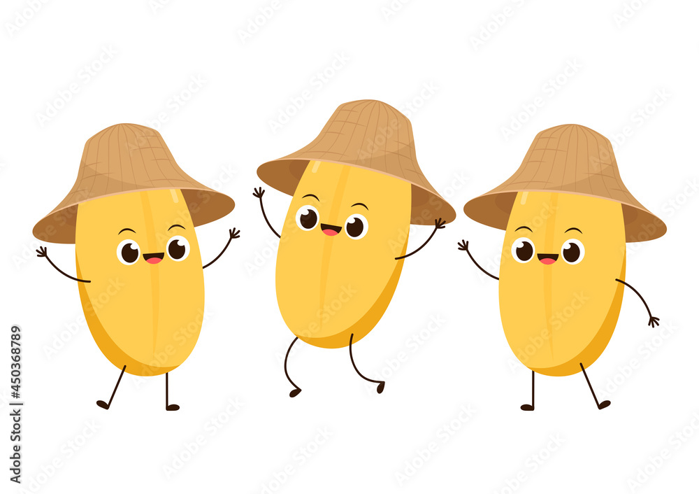 Fototapeta premium Rice character design. rice vector on white background. rice seed.