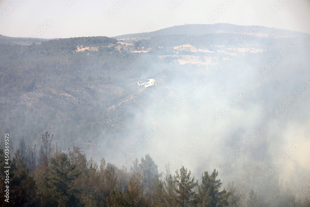 Fototapeta premium fire fighting helicopter leaves water to the forest fire