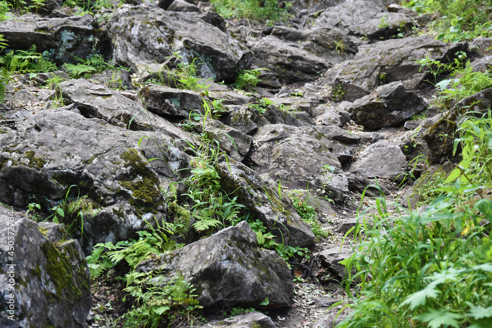 Bunch of stones in gorge in daytime Bunch of stones in gorge in daytime