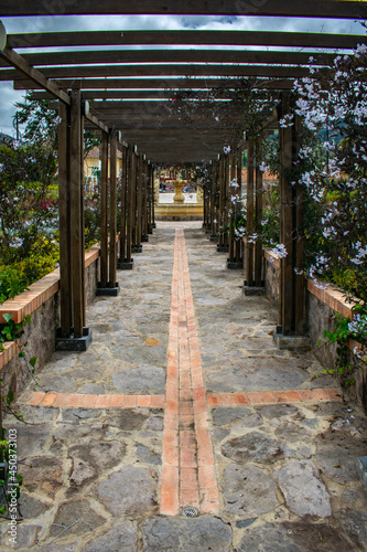 bridge in the park