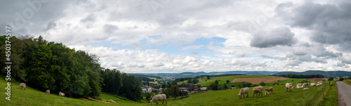 high resolution panoramic images of the Spessart  in southern Germany and the Bergiegen area