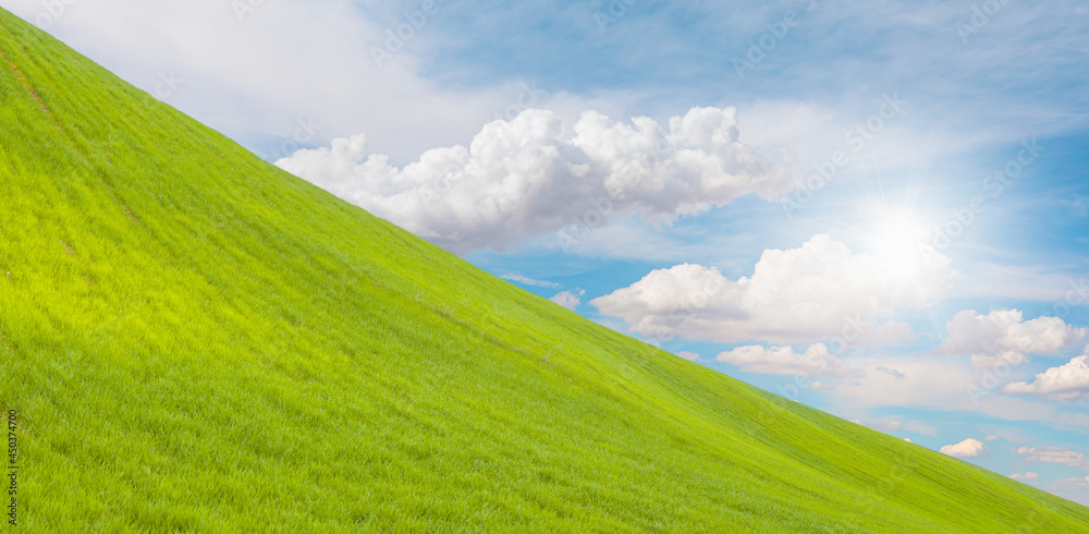 Beautiful landscape with green grass field