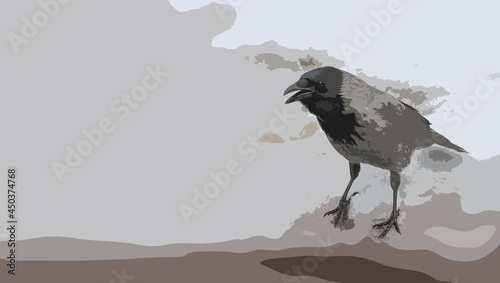 City bird crow. Illustration